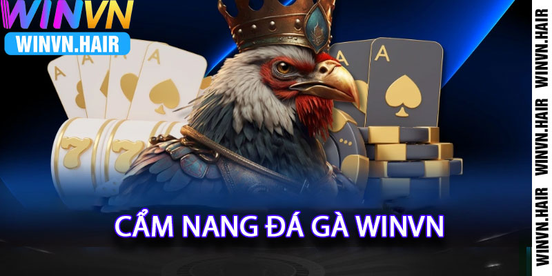 Cẩm nang đá gà WinVN